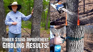 How to Improve Hardwood Timber for Wildlife  Part 3 Girdling Results [upl. by Conlon]