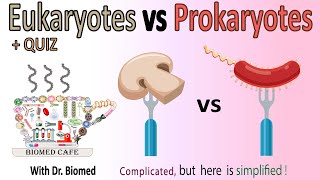 Eukaryotes vs Prokaryotes [upl. by Oirromed]