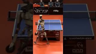 Robo Campeão de Ping Pong  Robo Sophia ficou para trás Boston Dynamics robo shortsviral [upl. by Shornick]