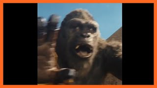 KONG REFUSES TO FIGHT EVOLVED GODZILLA NEW TEASER  Godzilla x Kong The New Empire [upl. by Rolecnahc254]