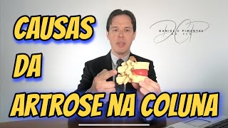 Causas de Artrose na Coluna [upl. by Nadda]