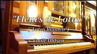 Super Violon orchestrion playerpiano by Pierre Eich quotFleurs de Lotusquot quotLotos Blumenquot [upl. by Colin840]