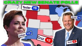 NEW SENATE ANALYSIS  CRAZY New Senate Polls  MT NE AZ NV PA MI TX FL [upl. by Anipsed]