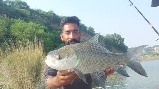 katla fish mangla dam fishing  fishing at mangla broti  Corp fishing 🎣 [upl. by Surazal180]