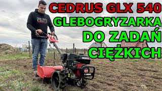 Glebogryzarka CEDRUS GLX 540  Test Pracy wady i zalety [upl. by Natek775]