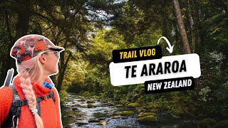 Starting the Tararuas and the North Island  Te Araroa Trail Vlog 21 [upl. by Thirza137]