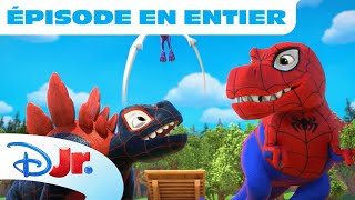 Spidey et ses amis extraordinaires  Moment Magique  Allez les dinos [upl. by Annairba]