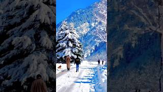 Kashmir vs Manali kashmir manali snowfall [upl. by Maris]