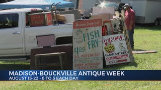 MadisonBouckville Antique Week [upl. by O'Kelly]