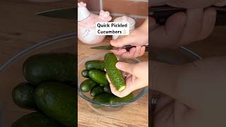 Quick Pickled Cucumbers👌🏻 [upl. by Rosemare]