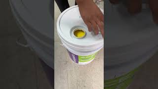 ACE EXTERIOR EMULSION 20Litre Code  7726 GREEN SALAD asianpaints colormixing shorts [upl. by Elletse]