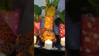 Indoor plants decoration ideas diy craft cardbord festival shortvideo [upl. by Gnilhsa215]