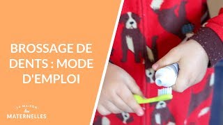 Brossage des dents  mode demploi  La Maison des maternelles LMDM [upl. by Spaulding]