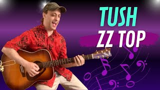 How To Play Tush by ZZ Top On Acoustic Guitar [upl. by Pallua124]