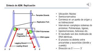 CLASE REPLICACION ADN 2022 [upl. by Afinom956]