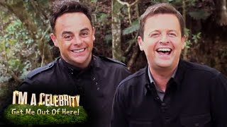 Ant amp Decs Favourite Moments Of 2015  Im A Celebrity Get Me Out Of Here [upl. by Nitsirt565]