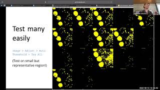 Segmentation amp Colocalization [upl. by Ylesara85]