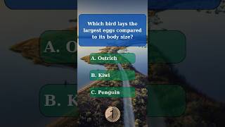 General knowledge quiz part 107 generalknowledge generalknowledgequiz challenge quiz gk trivia [upl. by Clive]