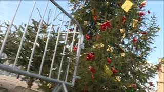 Châteauroux  collecte des sapins de Noël usagés [upl. by Jola954]