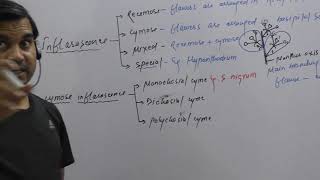 Cymose and Hypanthodium inflorescences [upl. by Oglesby]