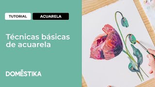 Tutorial ilustración Técnicas básicas de acuarela con Joana Santamans  Domestika [upl. by Edialeda]