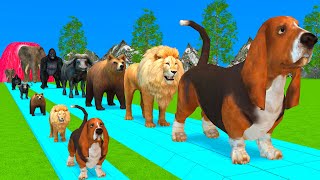 Paint Animals DuckTigerCowLionBuffaloGorillaElephantDinosaur Fountain Crossing Animal Game Ni [upl. by Orestes]