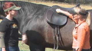 Parelli SaddlesHow To Place the Saddle on a Horse [upl. by Nnayrb]