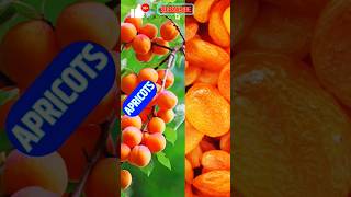 Beautiful Apricots nature amazing fruit tree apricots natural youtube shorts trending [upl. by Ullyot]