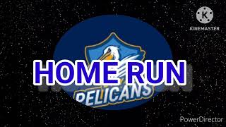 Tampa Bay Pelicans Home Run Horn 2024 [upl. by Rhyne]