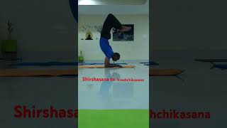 Shirshasana to Vrashchikasana Shirshasana Vrashchikasana advanceyoga wholebodyworkout [upl. by Rivers]