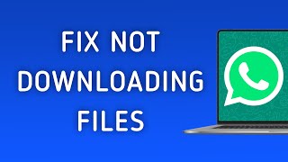 How To Fix Whatsapp App Not Downloading Files On Pc New Update [upl. by Annayr520]