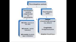 Hemato 09Hémostase primaire Purpura thrombopénique immunologique PTI Dr Abbadi [upl. by Aehta]