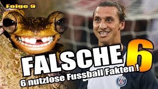 Falsche 9  6 nutzlose Fussball Fakten  Ukrainische WM Frosch Taktiken [upl. by Fauch]