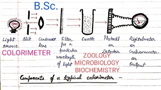 Colorimeter  Colorimetry  BSc  Introduction  Laws Working  Use  Advantages  Disadvantages [upl. by Mahala814]