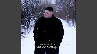 Ceylan Gözlüm [upl. by Gianni]