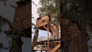 Cutting boards high in the air treehouse [upl. by Nealah579]