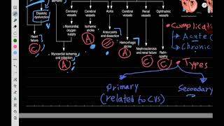 Therapeutics Hypertension 2 [upl. by Englebert]