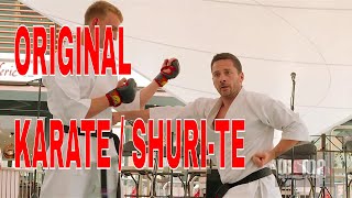 SECRETS BEHIND KARATE  SHURITE Okinawa [upl. by Charbonneau362]