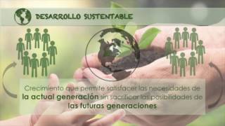 ¿Qué es la sustentabilidad [upl. by Alderson637]