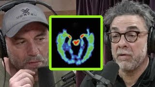 Freakonomics’ Stephen Dubner Asks Joe Rogan About CTE in Sports [upl. by Pasol840]