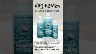 Choosing the right shampoo and conditioner for dog’s coat and skin type [upl. by Oirretna]