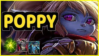 POPPY SUPPORT HIGHLIGHTS [upl. by Yetac320]