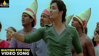 Oye Songs  I am waiting Video Song  Telugu Latest Video Songs  Siddharth  Sri Balaji Video [upl. by Nwahsyar66]