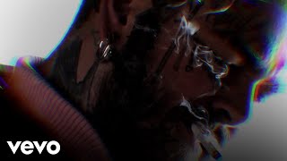 Post Malone  Lemon Tree Official Lyric Video [upl. by Enoitna575]