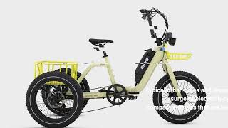 Is ENVO’s Flex Electric Bike Platform The Most Versatile EBike Yet ElectricCycleRider [upl. by Rolando802]