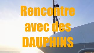 INCROYABLE rencontre avec des dauphins [upl. by Alberic]