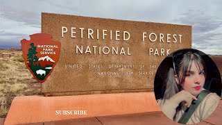 Petrified Forest National park let’s exploresubscribe travel nationalpark likeforlikestravel [upl. by Atirb579]