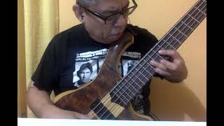 SOME DAY MY PRINCE WILL COME  BASS SOLO  MAYONES BASS VICTORIOUS CLASSIC V [upl. by Ransell]