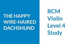 RCM Level 4 Study The Happy Wirehaired Dachshund [upl. by Nwahsram]