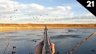 Hundreds Of Wigeon In The Decoys Texas Duck Hunting 2023 [upl. by Akihsay994]